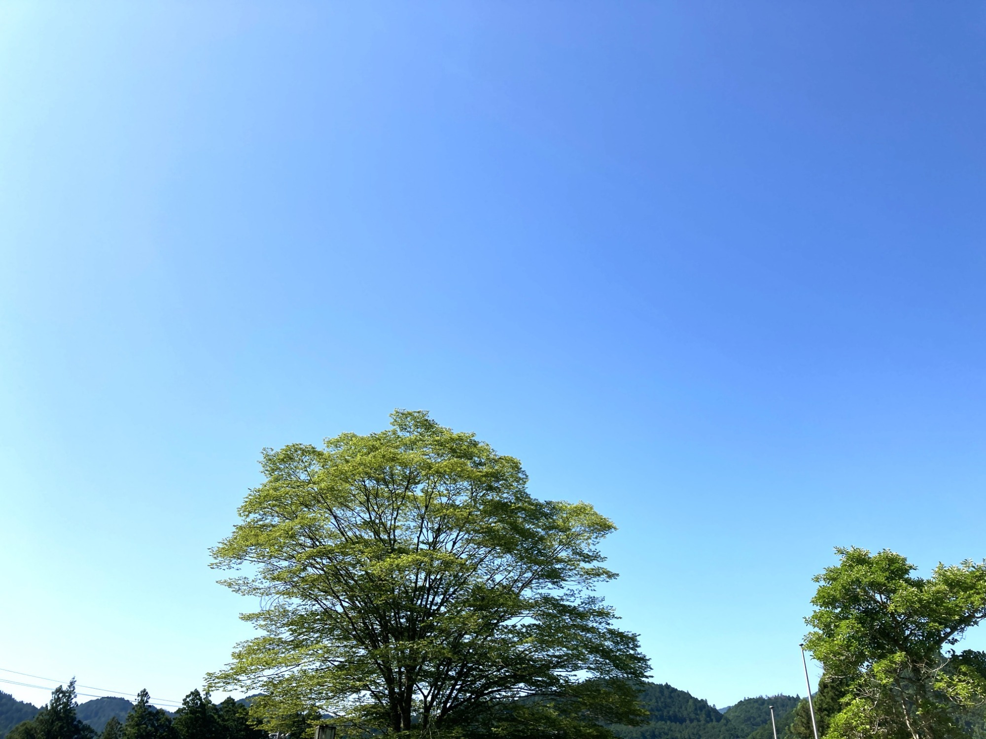 お知らせ